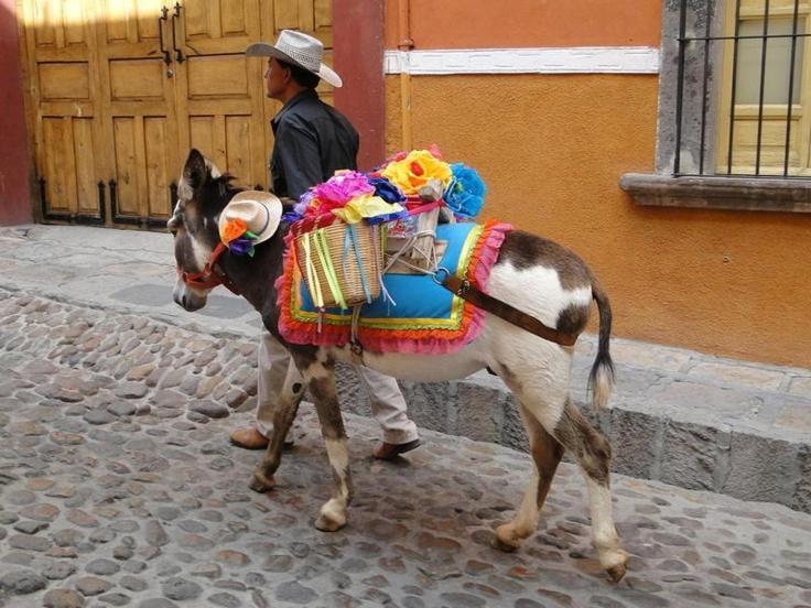 Casa Grande Luxury Boutique Hotel San Miguel de Allende Zewnętrze zdjęcie